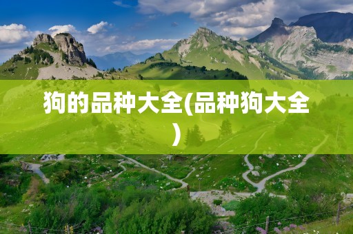 狗的品种大全(品种狗大全)