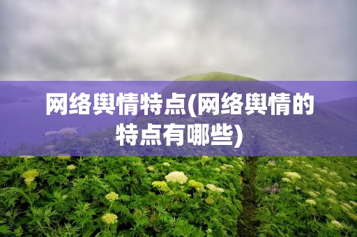 网络舆情特点(网络舆情的特点有哪些)