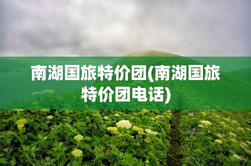 南湖国旅特价团(南湖国旅特价团电话)