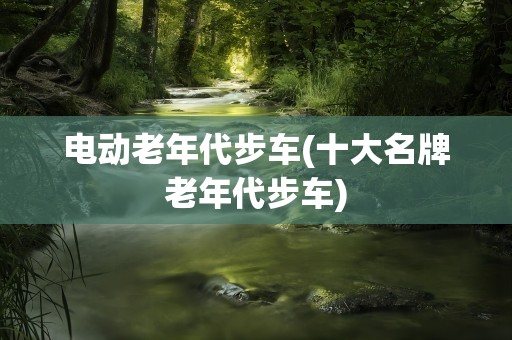 电动老年代步车(十大名牌老年代步车)