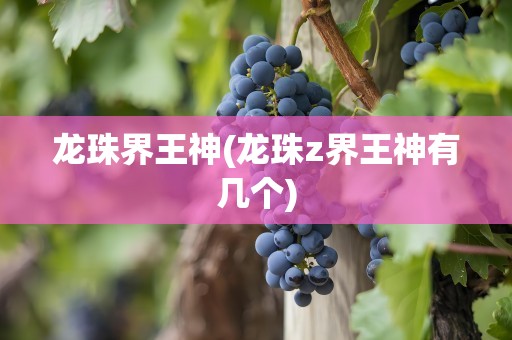 龙珠界王神(龙珠z界王神有几个)