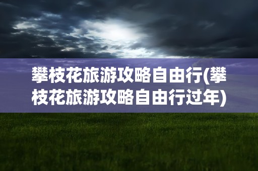 攀枝花旅游攻略自由行(攀枝花旅游攻略自由行过年)