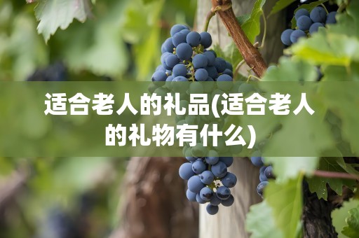 适合老人的礼品(适合老人的礼物有什么)