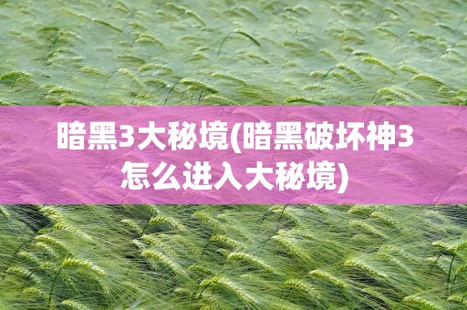 暗黑3大秘境(暗黑破坏神3怎么进入大秘境)