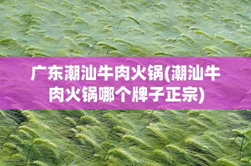 广东潮汕牛肉火锅(潮汕牛肉火锅哪个牌子正宗)