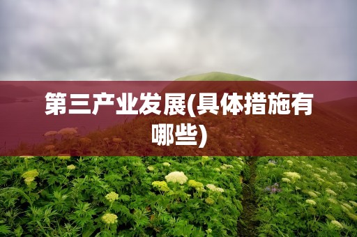 第三产业发展(具体措施有哪些)