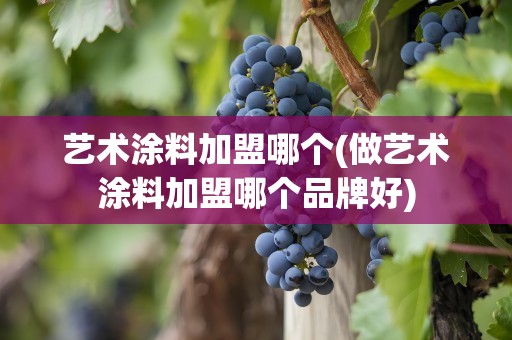 艺术涂料加盟哪个(做艺术涂料加盟哪个品牌好)