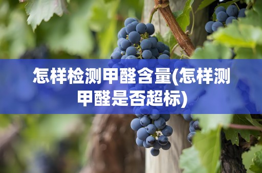 怎样检测甲醛含量(怎样测甲醛是否超标)