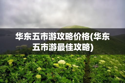 华东五市游攻略价格(华东五市游最佳攻略)
