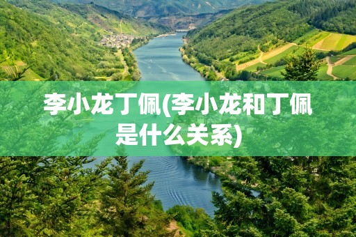 李小龙丁佩(李小龙和丁佩是什么关系)