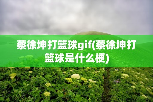 蔡徐坤打篮球gif(蔡徐坤打篮球是什么梗)