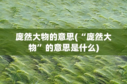 庞然大物的意思(“庞然大物”的意思是什么)