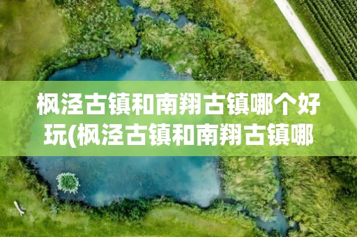 枫泾古镇和南翔古镇哪个好玩(枫泾古镇和南翔古镇哪个好玩些)