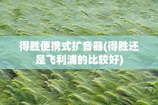 得胜便携式扩音器(得胜还是飞利浦的比较好)