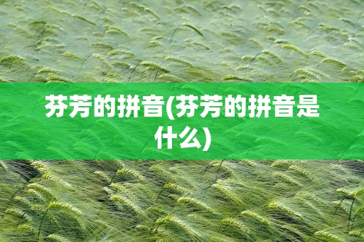 芬芳的拼音(芬芳的拼音是什么)