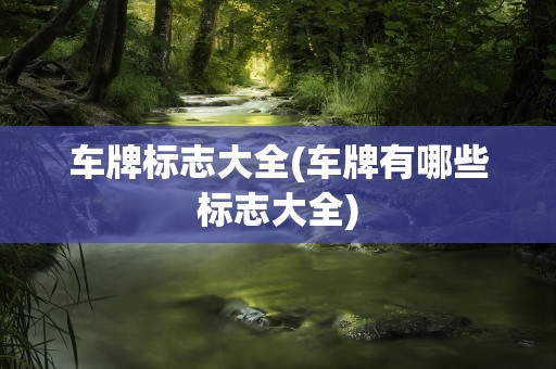 车牌标志大全(车牌有哪些标志大全)