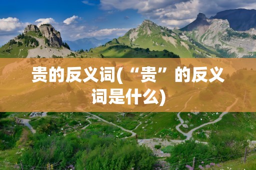 贵的反义词(“贵”的反义词是什么)