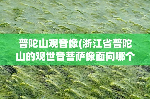 普陀山观音像(浙江省普陀山的观世音菩萨像面向哪个方向)