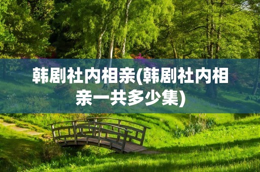 韩剧社内相亲(韩剧社内相亲一共多少集)