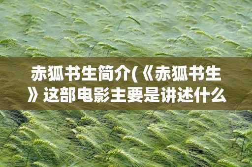 赤狐书生简介(《赤狐书生》这部电影主要是讲述什么故事的)