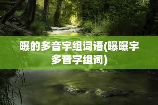 曝的多音字组词语(曝曝字多音字组词)