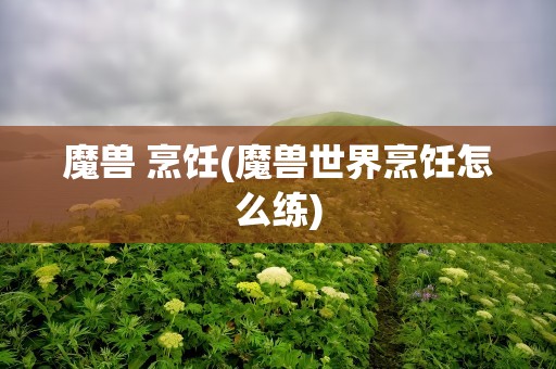 魔兽 烹饪(魔兽世界烹饪怎么练)