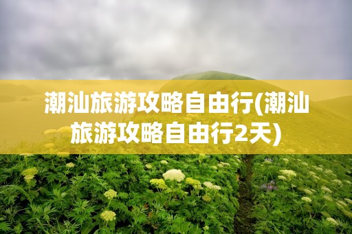 潮汕旅游攻略自由行(潮汕旅游攻略自由行2天)