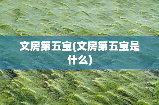 文房第五宝(文房第五宝是什么)