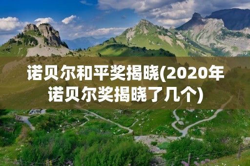 诺贝尔和平奖揭晓(2020年诺贝尔奖揭晓了几个)