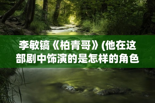 李敏镐《柏青哥》(他在这部剧中饰演的是怎样的角色)