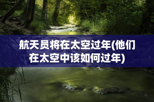 航天员将在太空过年(他们在太空中该如何过年)