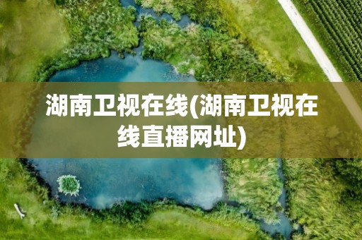 湖南卫视在线(湖南卫视在线直播网址)
