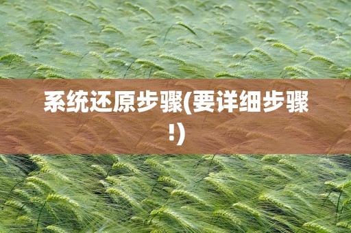 系统还原步骤(要详细步骤!)