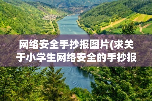 网络安全手抄报图片(求关于小学生网络安全的手抄报图片)