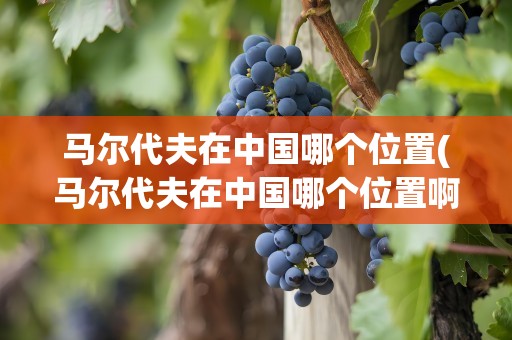 马尔代夫在中国哪个位置(马尔代夫在中国哪个位置啊)
