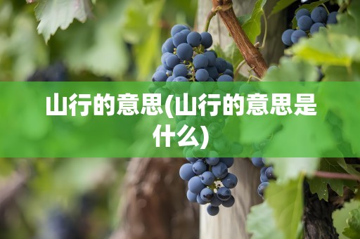 山行的意思(山行的意思是什么)