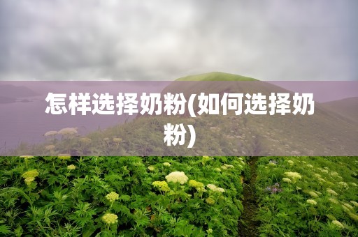 怎样选择奶粉(如何选择奶粉)