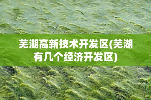 芜湖高新技术开发区(芜湖有几个经济开发区)