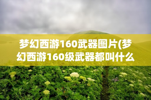 梦幻西游160武器图片(梦幻西游160级武器都叫什么名字)