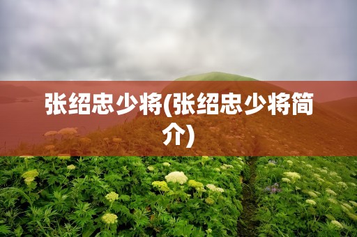 张绍忠少将(张绍忠少将简介)