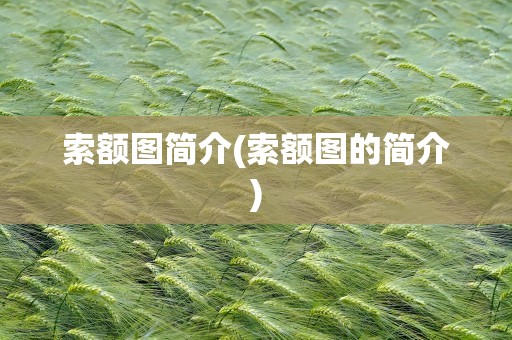 索额图简介(索额图的简介)