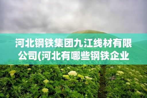 河北钢铁集团九江线材有限公司(河北有哪些钢铁企业)