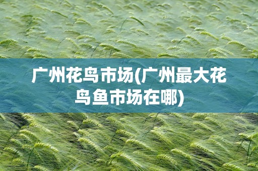 广州花鸟市场(广州最大花鸟鱼市场在哪)