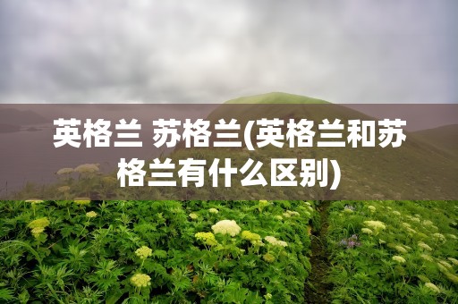 英格兰 苏格兰(英格兰和苏格兰有什么区别)