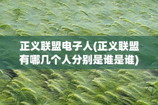 正义联盟电子人(正义联盟有哪几个人分别是谁是谁)