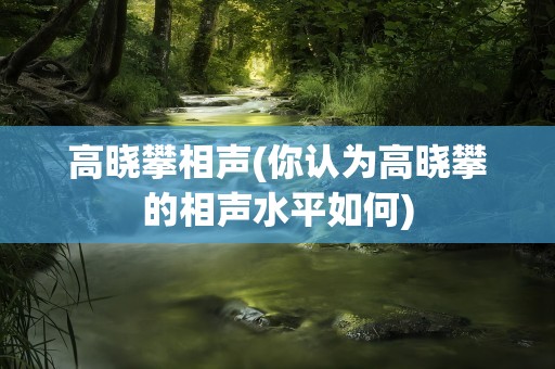 高晓攀相声(你认为高晓攀的相声水平如何)