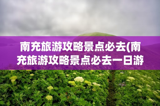 南充旅游攻略景点必去(南充旅游攻略景点必去一日游)