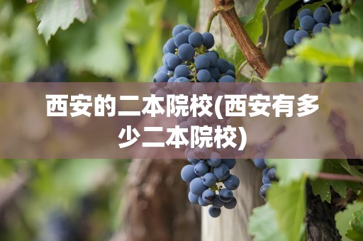 西安的二本院校(西安有多少二本院校)