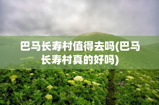 巴马长寿村值得去吗(巴马长寿村真的好吗)