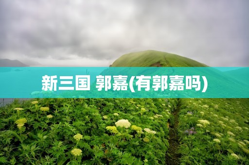 新三国 郭嘉(有郭嘉吗)